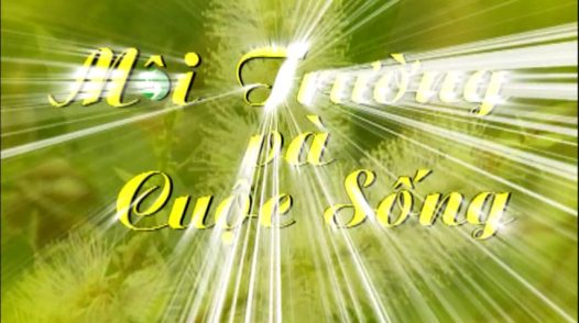 Môi trường và cuộc sống - 01/11/2025: Phong trào ngày thứ 7 tình nguyện, ngày chủ nhật xanh