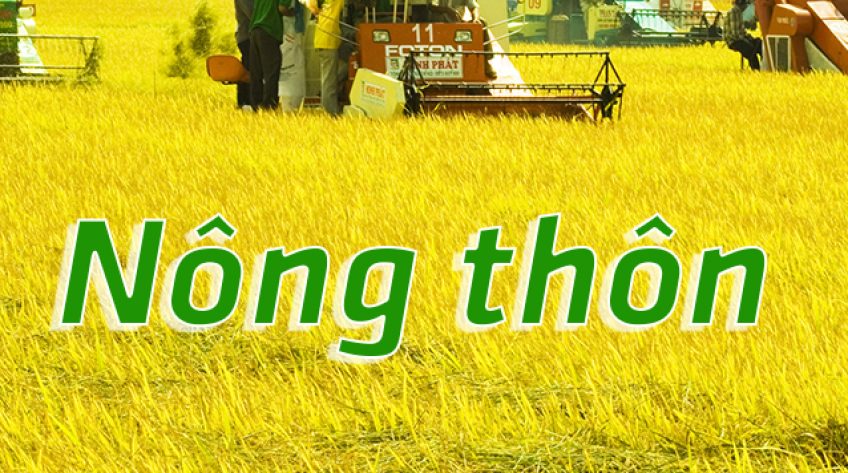 Nông thôn - 06/03/2019