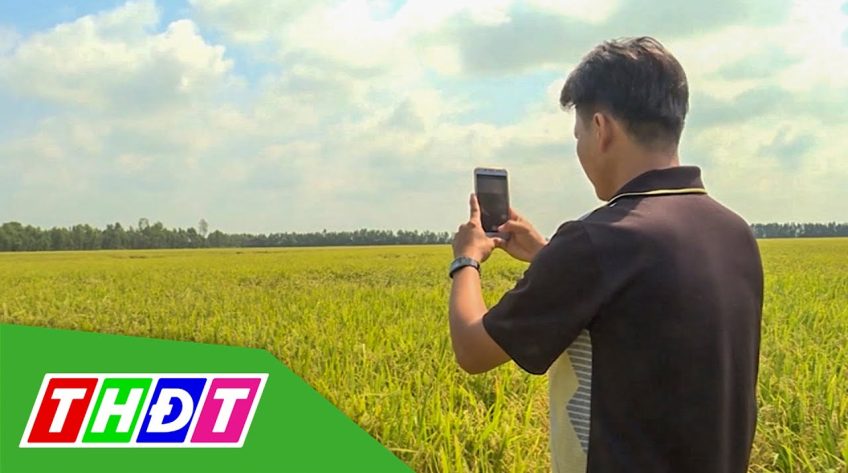 Nông dân Đồng Tháp đang tự mình chuyển đổi số
