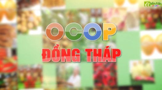 OCOP Đồng Tháp - 24/10/2026: Phụ nữ Đồng Tháp làm kinh tế giỏi, giàu trách nhiệm cộng đồng