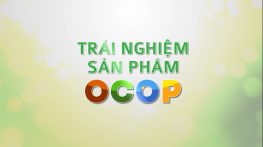 Trải nghiệm sản phẩm OCOP - 14/4/2026: Công ty TNHH xuất nhập khẩu KANA