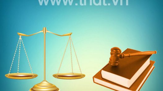 Pháp luật và đời sống - 21/12/2025