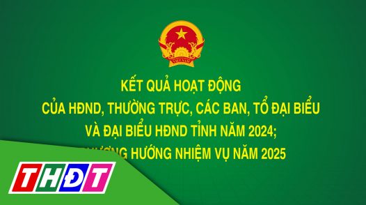 Kết quả hoạt động của HĐND, Thường trực, các ban, tổ đại biểu và đại biểu HĐND tỉnh Đồng Tháp năm 2024