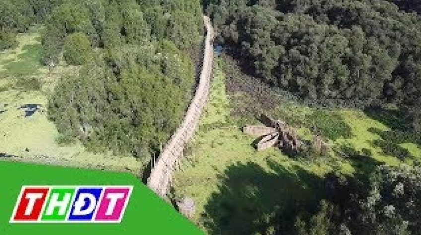 Rừng tràm Trà Sư đón nhận 2 kỷ lục mới