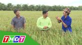 Cửa sổ văn hóa - 21/10/2020: Của cho không bằng cách cho