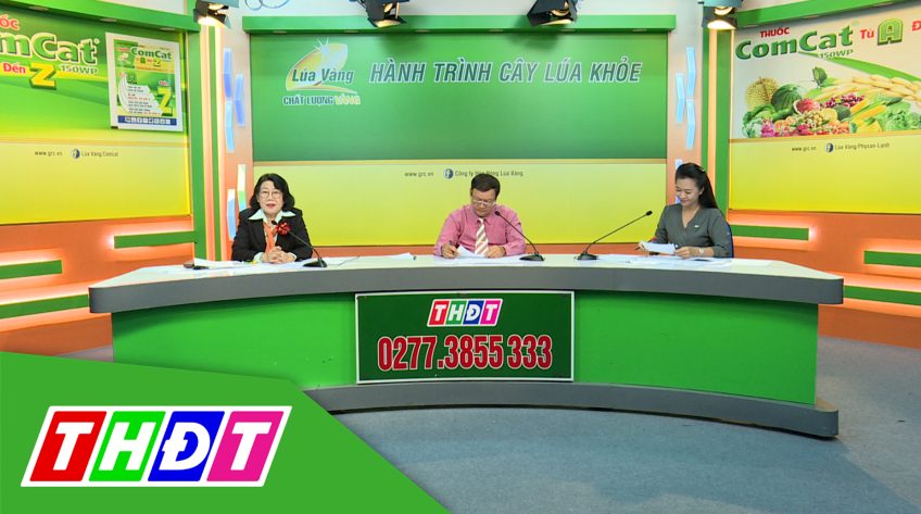 Tư vấn Khuyến nông - 1/2/2021 - Lúa trỗ khỏe - Tết an tâm