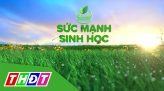 Sức mạnh sinh học - 06/9/2022 - Kỳ 26: Vững vàng năng suất xanh