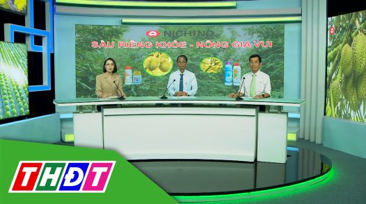 Tư vấn Khuyến nông - 15/9/2025 - Sầu riêng khỏe - Nông gia vui