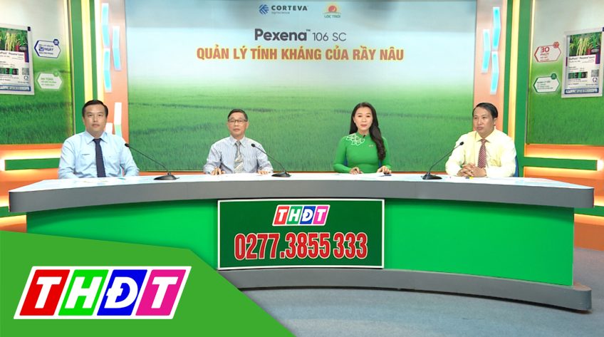 Khuyến nông - 30/11/2020 - Quản lý tính kháng của rầy nâu