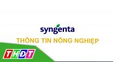 Syngenta thông tin nông nghiệp - 21/4/2024: Quản lý bệnh hại giai đoạn lúa 1mm