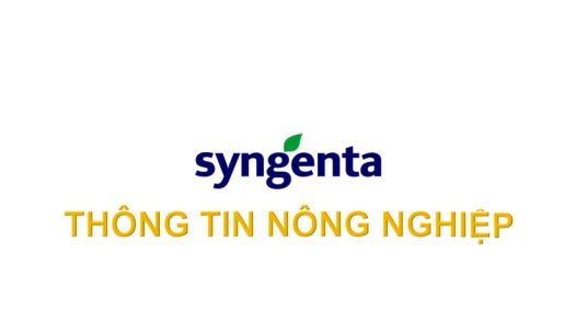 Syngenta Thông tin nông nghiệp - 07/12/2025: Quản lý rầy nâu hại lúa Pexena