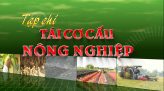 Tái cơ cấu nông nghiệp - 23/11/2025: Sinh kế nông thôn đổi mới từ mô hình HTX