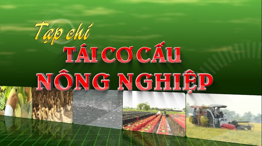 Tái cơ cấu nông nghiệp - 23/11/2025: Sinh kế nông thôn đổi mới từ mô hình HTX