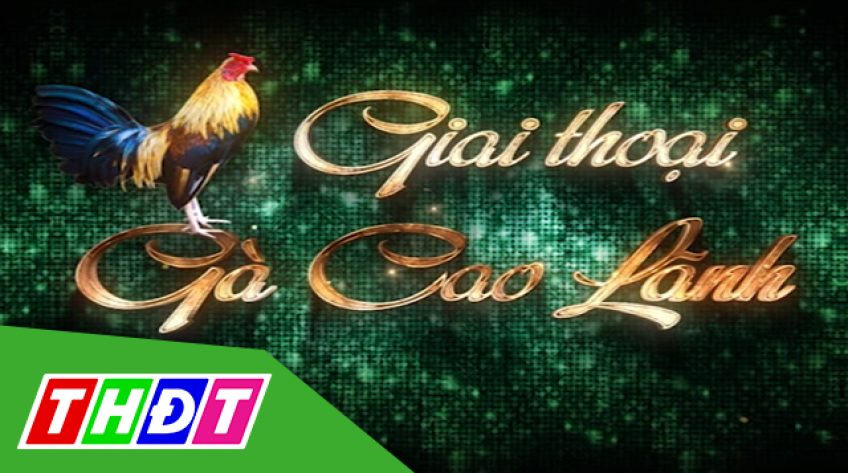 Giai thoại Gà Cao Lãnh kỳ 32 - 20/01/2019