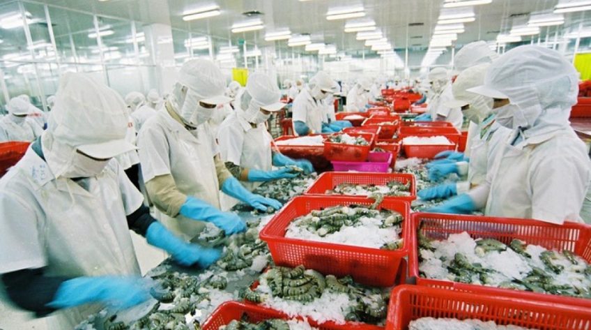 Xuất khẩu tôm sang EU tăng 10% sau khi EVFTA có hiệu lực
