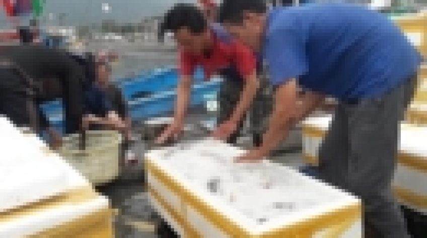 Sẽ thông quan hàng nghìn tấn thủy sản trong vài ngày tới