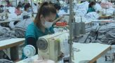 Ngày chủ nhật xanh của tuổi trẻ đất sen hồng