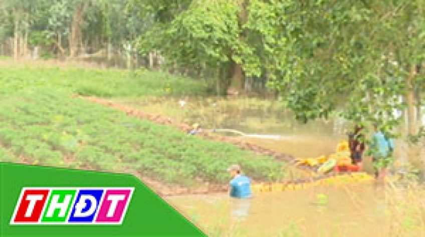 Đồng Tháp: Dự kiến xả lũ hơn 90 ngàn hecta