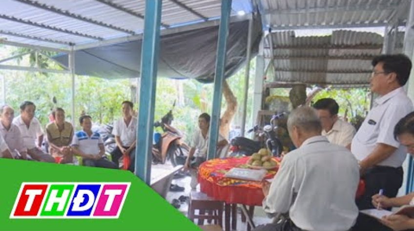 Huyện Lai Vung: Ra mắt Tổ liên kết hợp tác mận