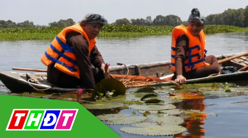 Khu du lịch Tràm Chim mở dịch vụ trải nghiệm mùa nước nổi