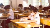 Rau sam mọc dại thành 