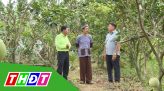 Tiếp sức cùng nông dân, 18/8/2020: Thăm vườn sầu riêng của tỷ phú nông dân Ngô Tấn Trung