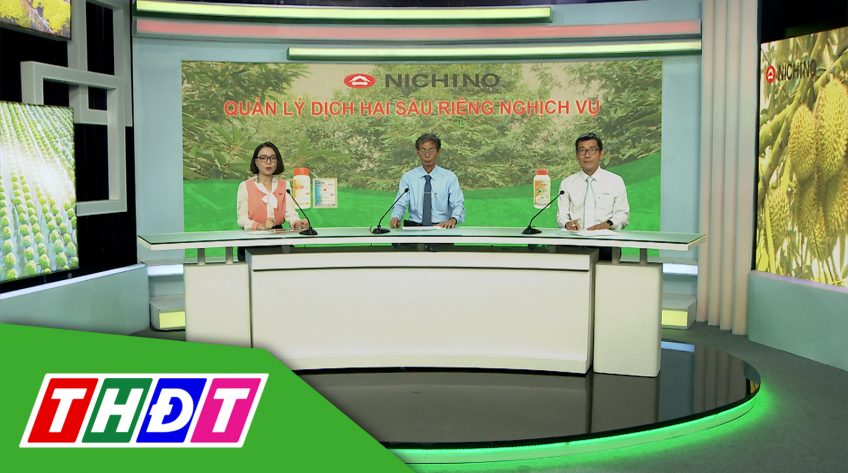 Tư vấn Khuyến nông - 21/10/2024 - Quản lý dịch hại sầu riêng nghịch vụ