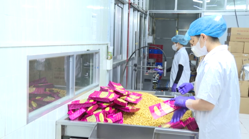 Doanh nghiệp đồng hành cùng triển lãm 