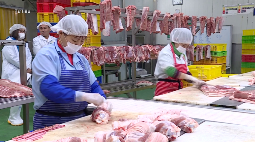 Việt Nam chi gần gấp đôi tiền nhập khẩu thịt heo đông lạnh