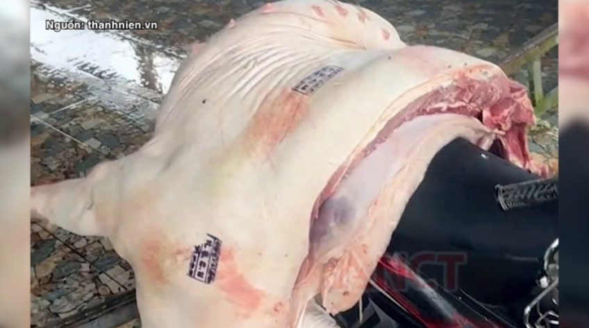 Cần Thơ: Phát hiện hàng trăm kg thịt mắc tả heo châu Phi được bày bán tại chợ