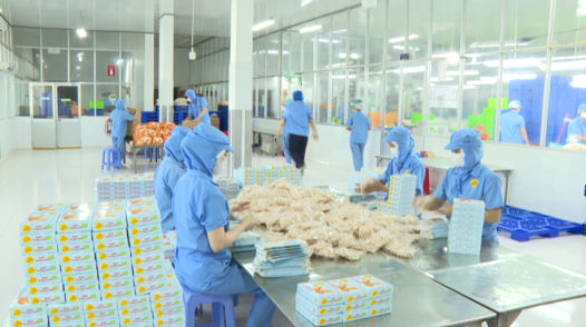 Xuất khẩu Đồng Tháp lạc quan về đích