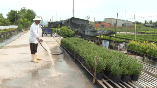 Khắc phục ô nhiễm nguồn nước tưới hoa kiểng do thi công công trình