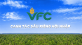VFC - Canh tác sầu riêng hội nhập - 20/02/2026: Nhìn lại hành trình nâng tầm sầu riêng Việt