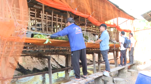 Đồng Tháp: Giai đoạn 2021 - 2025, giảm hơn 14.300 hộ nghèo