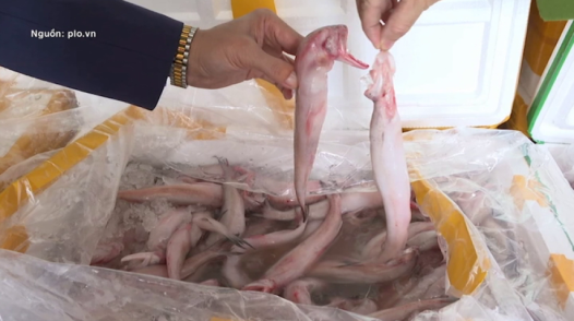 Phát hiện 10 tấn cá khoai Trung Quốc tẩm formol cực độc