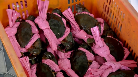 Tôm, cua, cá kèo Cà Mau cùng nhau tăng giá