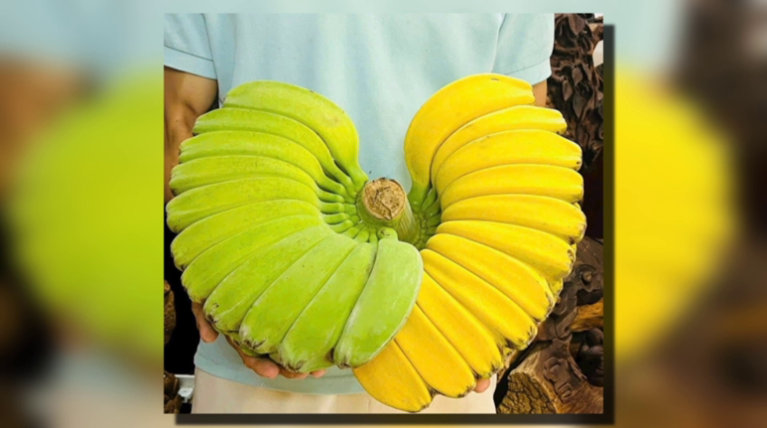 Trái cây độc lạ chưa Tết đã hút hàng