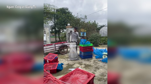 Phát hiện gần 1 tấn rắn hổ mang trên xe khách