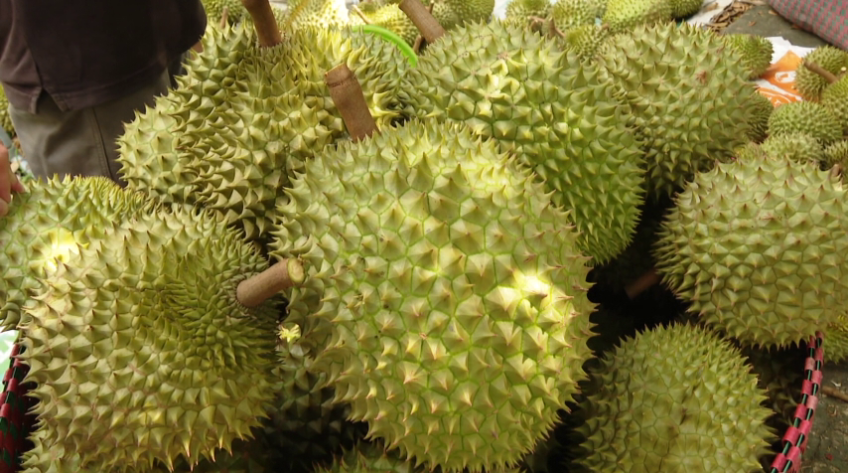 Malaysia chi tiền gấp 5 lần mua sầu riêng Việt Nam