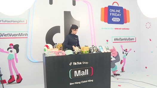 Shopee, Tiktok chiếm 8% thị phần bán lẻ