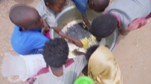 Nguy cơ thiếu lương thực nghiêm trọng tại châu Phi