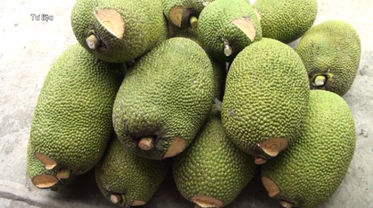 Giá mít tăng cao dịp cận Tết