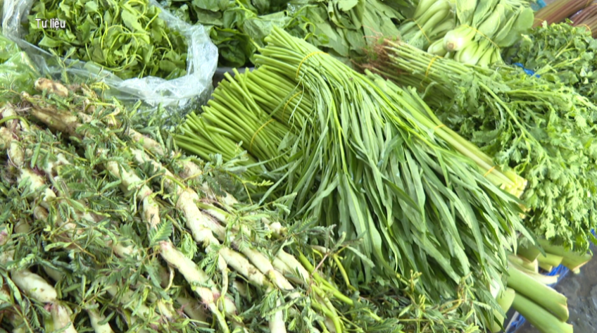 Nguồn cung rau củ dồi dào, giá giảm mạnh