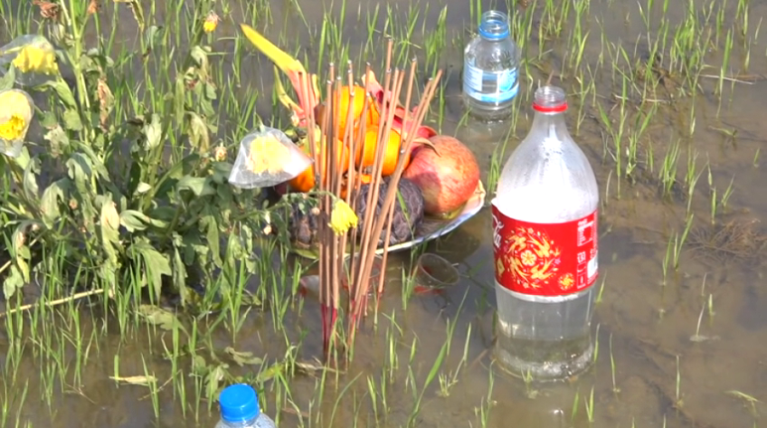 Lại thêm án mạng từ bẫy chuột bằng điện