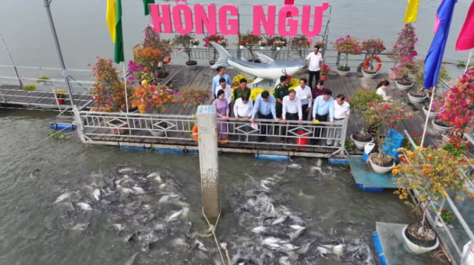 Chủ tịch UBND tỉnh Đồng Tháp Phạm Thành Ngại xông đất tại vùng thủy sản đầu nguồn phường Hồng Ngự