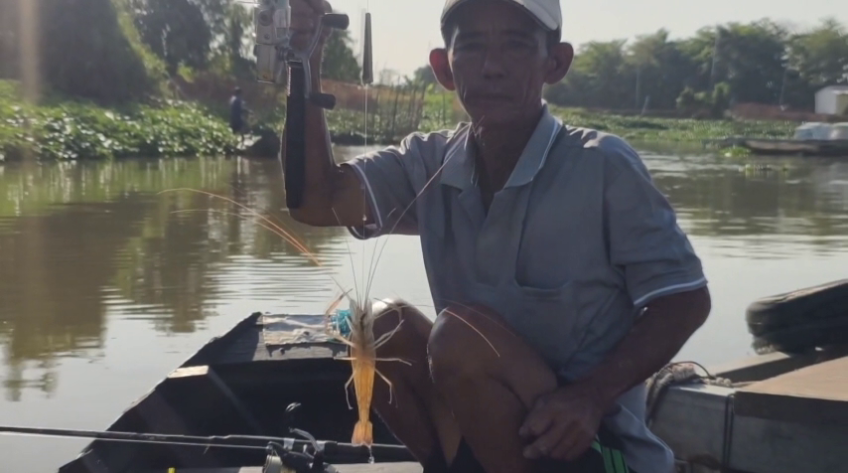 Nhộn nhịp 