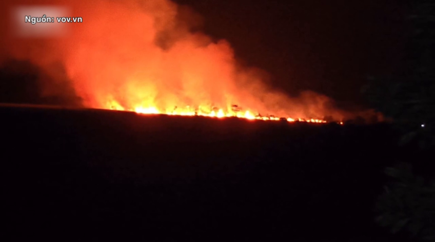 Kịp thời dập tắt đám cháy Khu bảo tồn loài - sinh cảnh Phú Mỹ