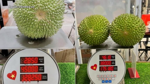 Sầu riêng gai đen tiền triệu mỗi trái vẫn 