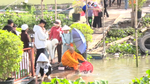 Thả 5,5 tấn cá tái tạo nguồn lợi thủy sản trên sông Tiền