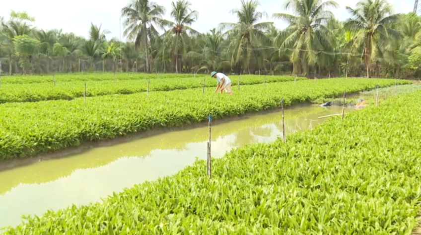 Đồng Tháp ứng phó với tình hình thủy văn phức tạp cuối mùa khô